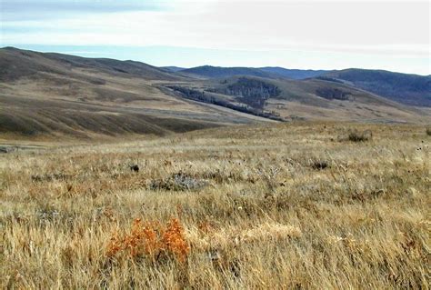 Geography Blog | Steppe Biome | Nord-star.info