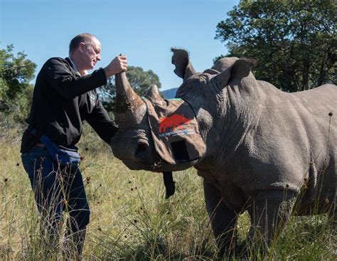 Rhino Horn Poaching