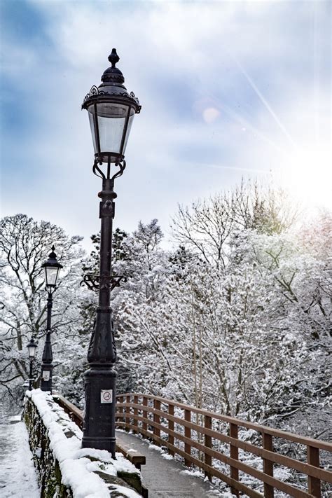 Snowy Street Lamp Free Stock Photo - Public Domain Pictures