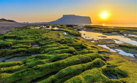 The 10 Best Jeju Island South Korea Cruise Excursions & Shore Trips