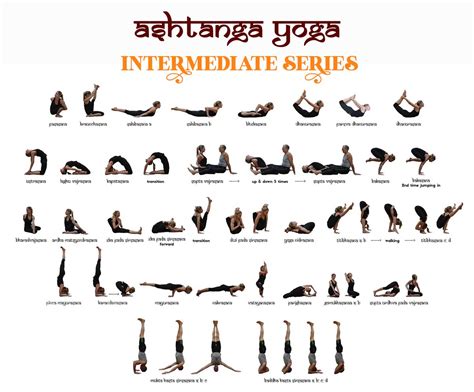 Everything You Need to Know About Ashtanga Yoga: Primary, Intermediate ...