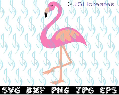 Flamingo Svg Flamingo Clipart SVG Clipart Cricut Files - Etsy