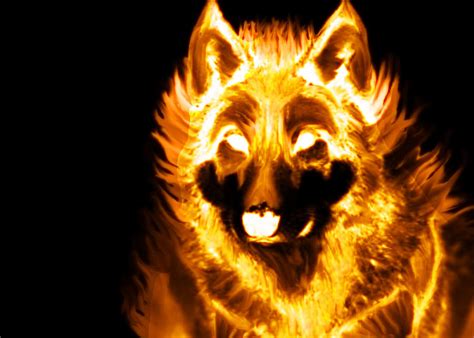 Fire Wolf by Lamar823 on DeviantArt