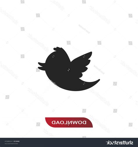 Twitter Bird Vector at Vectorified.com | Collection of Twitter Bird Vector free for personal use