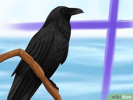 Raven Spiritual Meaning: 14 Symbolic Interpretations