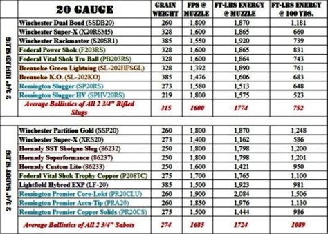 Shotgun Slugs: 20 Gauge vs. 12 Gauge - Part 2