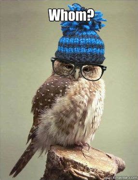 29 Funny Owl Memes That Are So Funny They're Actually a Hoot