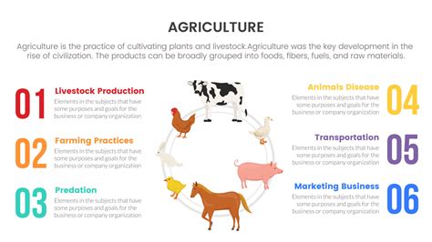 livestock cycle farming agriculture infographic concept for slide presentation with 6 point list ...