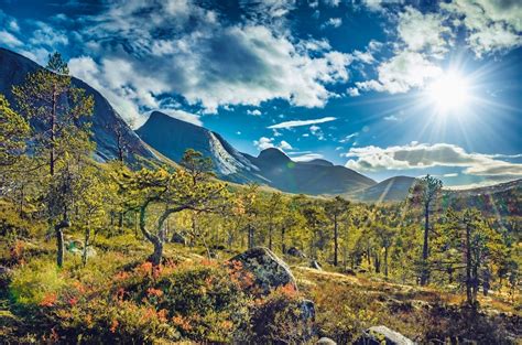 The 5 Best Things to do in Autumn in Norway - Norway Excursions Blog