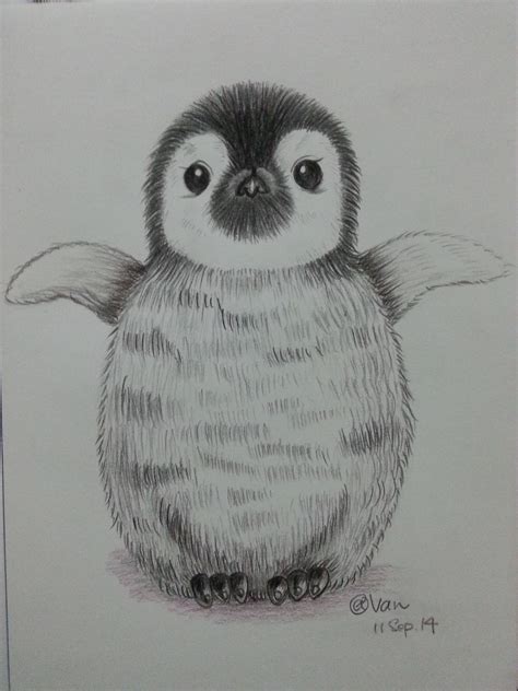 Cartoon Penguin. I saw the most small Penguin in Australia Phillip Island. They are really ...