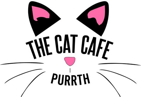 The Cat Cafe Perth | Cat cafe, Cats, Cafe