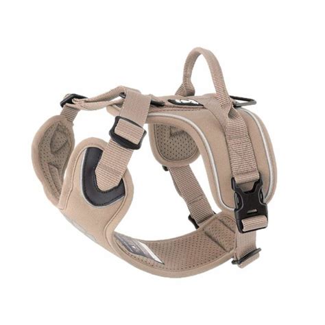 5 Best Dog Harnesses For Hiking - life out the hive