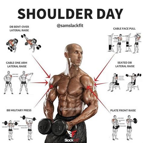 Pin on Dumbell Exercises