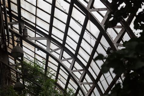 Lincoln Park Conservatory, Chicago — HOMESTEAD BROOKLYN