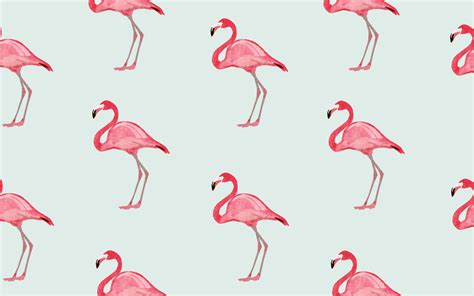 Flamingo Wallpaper for Computer - WallpaperSafari