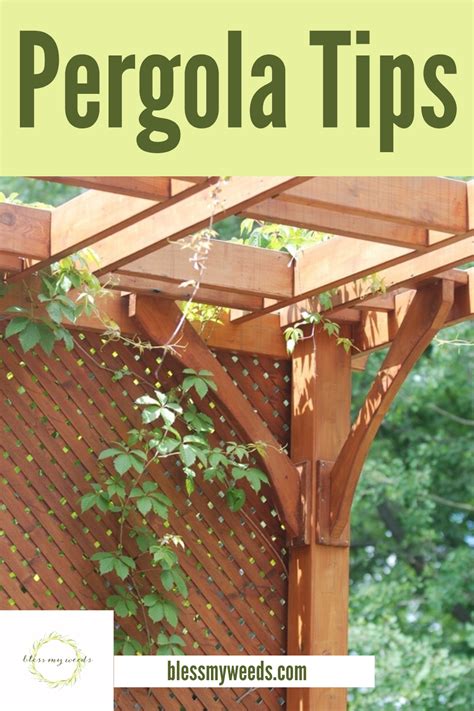 Pergola Building Tips To Save Money-Outdoor Living-blessmyweeds.com