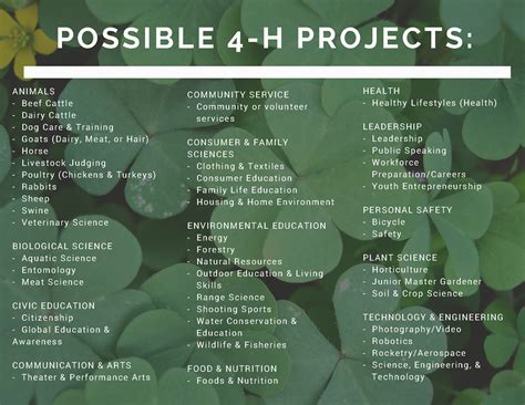 Caldwell County 4-H Blog: Possible 4-H Projects