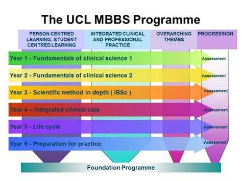 Course structure | UCL Medical School - UCL – University College London