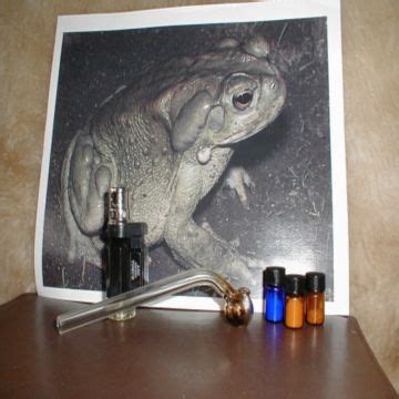 Buy Wholesale Canada Colorado River Toad Venom For Sale Online & Colorado River Toad Venom at ...