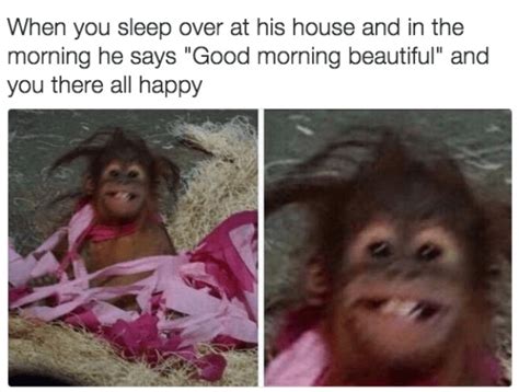 8 Baby Monkey Memes To Make You Awww