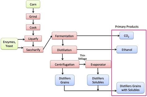 Bioethanol: The Fuel of Tomorrow