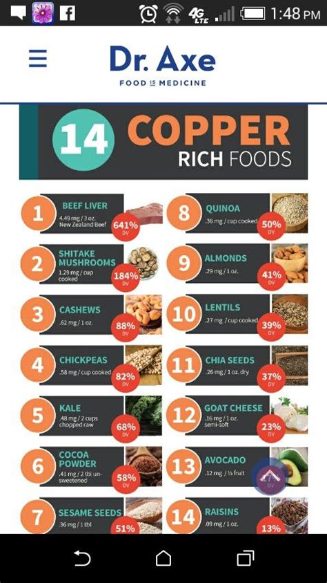 Copper-Rich Foods | Nutrition, Healing food, Food facts