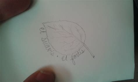 Tattoo: Draft 1 Aspen leaf symbolises resilience, transformation, and ...