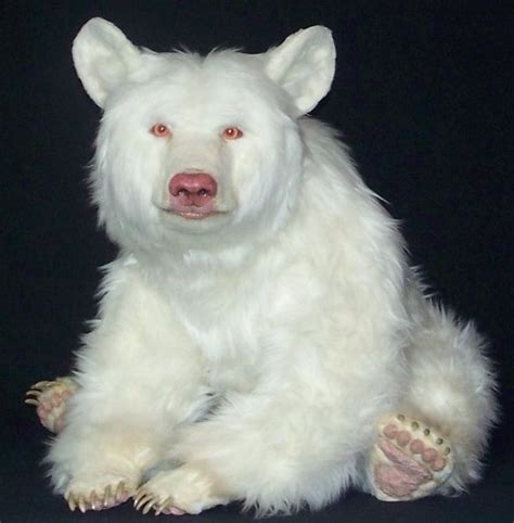 A-Z List of 125 Rare Albino Animals [Pics]