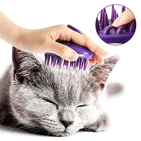 Best Brush for a Cat in 2022: The Ultimate Guide - Cat Brush Guide