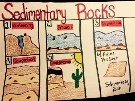 Formation of sedimentary rock | Rock science, Science anchor charts, Elementary science