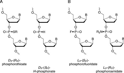 Figure A.1E.2 Examples of D P (A) and L P (B) notation for dinucleoside... | Download Scientific ...