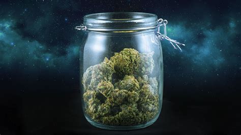 Highest THC Strains: What Are the Strongest Weed Strains of 2020?