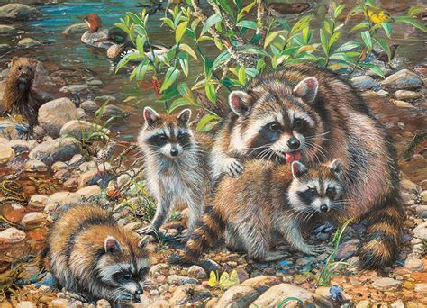 Raccoon Family (Family Puzzle) 350pc - Raff and Friends