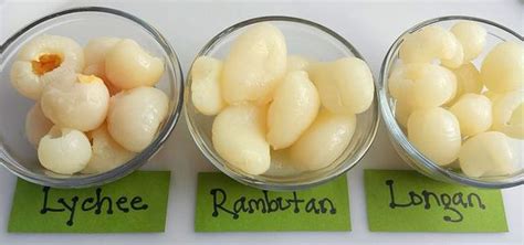 What Is the Difference Between the Lychee, Rambutan and Longan? | HuffPost Life