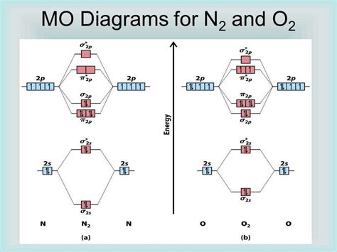 Understanding the Molecular Orbital Diagram of N2 2+