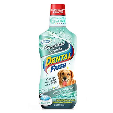 Best Dog Teeth Cleaning Products Reviews – The Hunting Dog