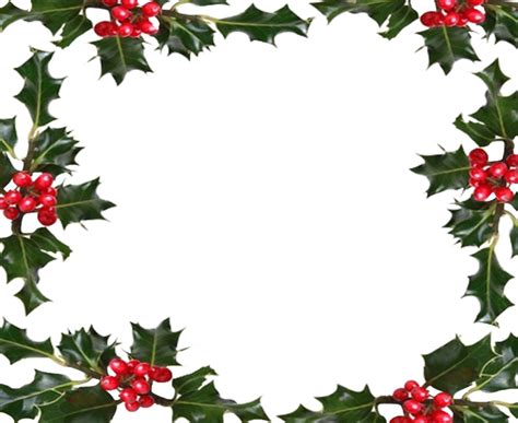 Holly border png, Holly border png Transparent FREE for download on ...