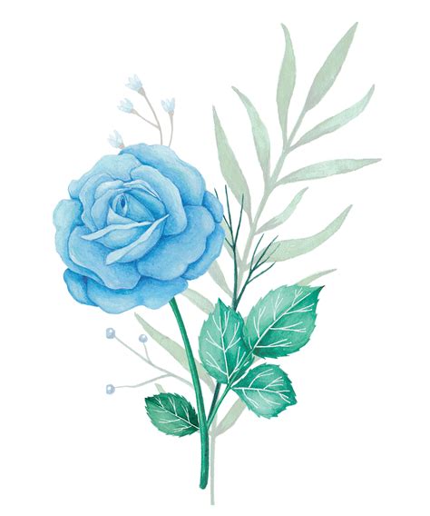 ramo de flores de acuarela con rosas azules y hojas verdes ilustración 11098199 PNG