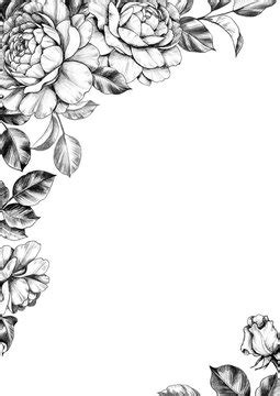 Black And White Floral Wallpaper Designs