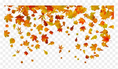 Fall Background Pictures Png - Transparent Background Fall Leaves Png, Png Download - vhv