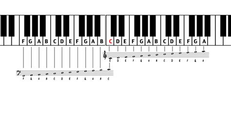 Bass Clef - Music Theory Academy