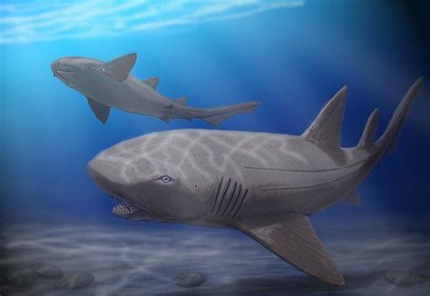 10 Largest Ancient Sharks to Roam the Oceans | KickassFacts.com