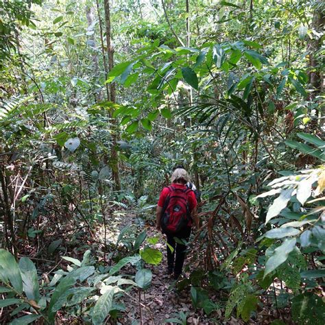 Jungle Trekking Adventure - Kiulu Valley Day Tour, Sabah, Malaysia