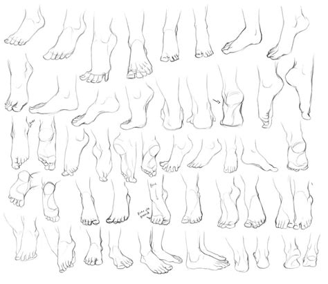 Feet Drawing Reference