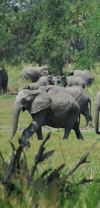 Kakum National Park Ghana - Cape Coast - Contact Number, Email Address