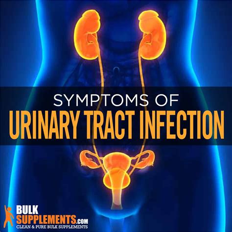 Urinary Tract Infection (UTI): Symptoms, Causes and Treatment