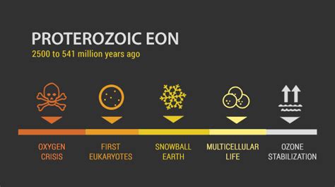 How Many Years Ago Did Multicellular Life Began On Earth - The Earth ...