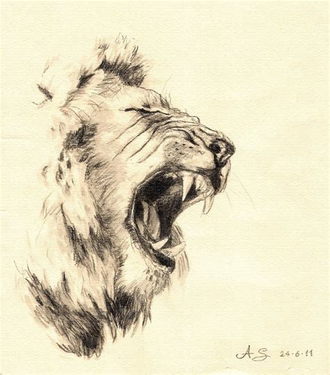 Lion Roaring Drawing at GetDrawings | Free download