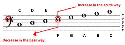 Bass Clef - Sheet Music | Simplifying Theory