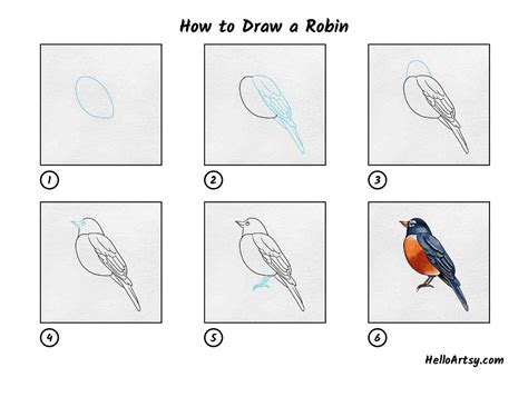 How to Draw a Robin - HelloArtsy